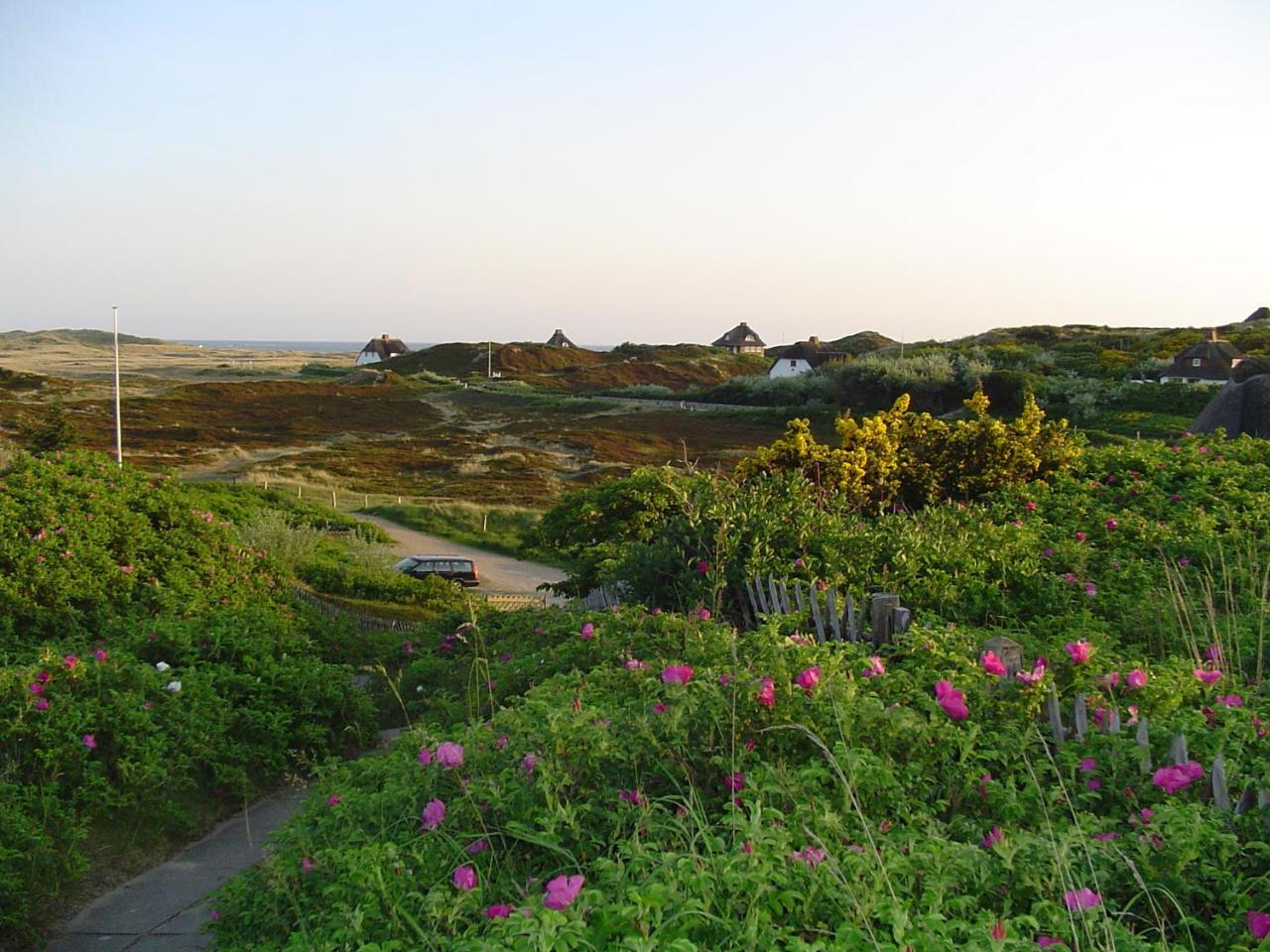 Giebelhaus Frida - Sylt, Westerland Extérieur photo